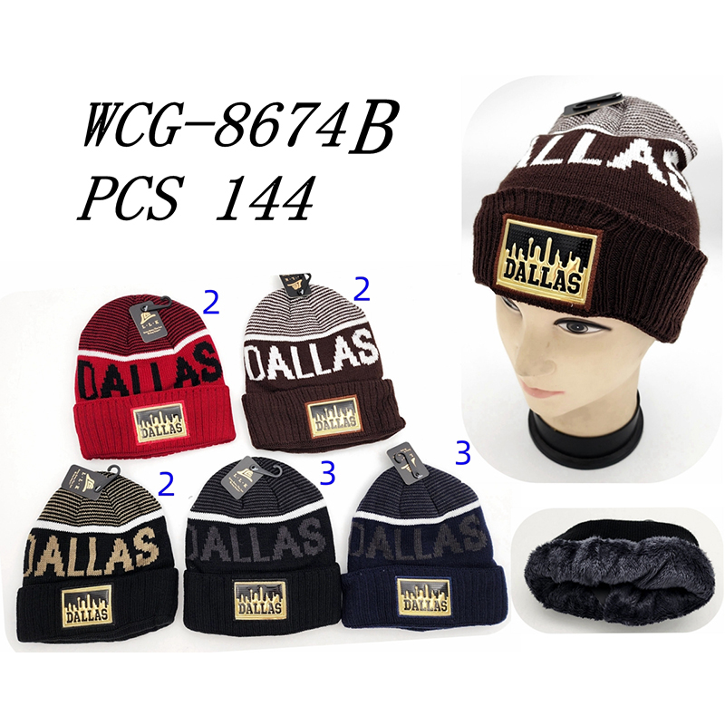 WCG-8674B CS144